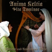 Vita Dominae (Medieval and Renaissance Music) artwork