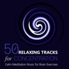 50 Relaxing Tracks for Concentration: Calm Meditation Music for Brain Exercises, Exam Study, Learning, Reading and Working, 2016