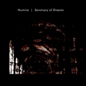 Numina - Dream Recognition (Silhouette of the Past)