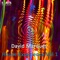 Modulation House - David Marques lyrics
