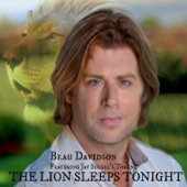 Beau Davidson - The Lion Sleeps Tonight