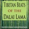 Dalai Lama Monk Vocal Chants - Steven Current lyrics