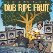 Dub Ripe Fruit artwork