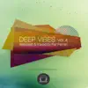Deep Vibes, Vol. 4 (Selected & Mixed by Fer Ferrari) album lyrics, reviews, download
