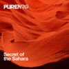 Secret of the Sahara (Radio Edit) - Single