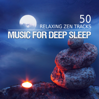 Insomnia Music Universe - Music for Deep Sleep: 50 Relaxing Zen Tracks for Trouble Sleeping, Cure Insomnia, Deep Regeneration, Soothing Music for Bedtime artwork
