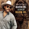 Hank Jr. Sings Hank Sr., 2016