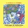 Pádraigín Ní Uallacháin - An Leanbh Nua