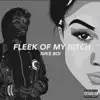 Stream & download Fleek of My Bitch - Single