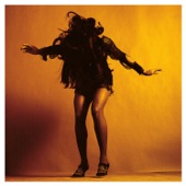 Pattern by The Last Shadow Puppets