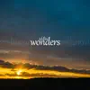 Stream & download Wonders