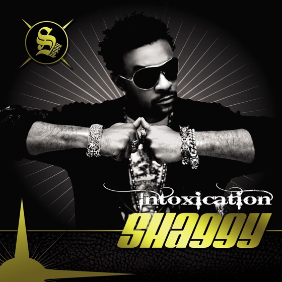 Cover artwork for Intoxication