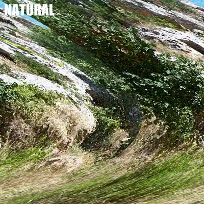 Garden - Single - Natural