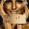 Electro Weekend, Vol. 19