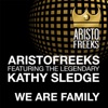 We Are Family (feat. Kathy Sledge)