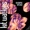 Kit Watkins - Timetable