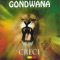 No Desesperes - Gondwana lyrics