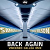 Back Again (Vincenzo Callea Rmx) [feat. Amanda Wilson] - Single