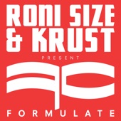 Roni Size - Formulate