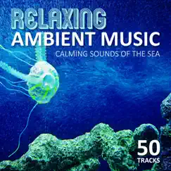 Relaxing Ambient Music: Calming Sounds of the Sea, Instrumental Background Music (Guitar, Piano and Flute) Sounds of Nature, Yoga, Spa, Meditation by Various Artists album reviews, ratings, credits