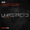 Summer Calling (Casey Rasch Remix) - Single