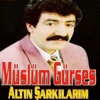 Altın Şarkılarım