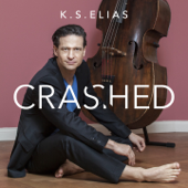 ELIN You Crashed into My Life - K.S.Elias