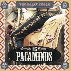 Los Pacaminos - Two Margaritas - 排舞 编舞者