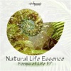 Forms of Life - EP