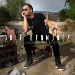 Vida de Colores (Remix Norteño) [feat. Las Fenix] - Single - Obie Bermudez
