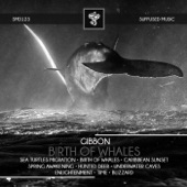 Birth of Whales artwork