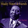 Muddy Waters - Gypsy Woman
