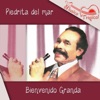 Bienvenido Granda - Ritmo de Mi Cuba