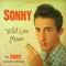 Drinkin' Wine Spo-Dee-o-Dee - Sonny lyrics