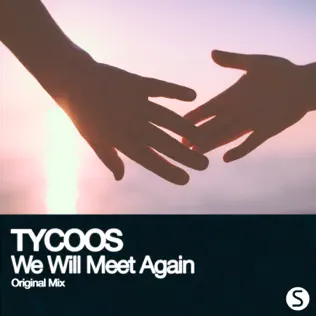 Album herunterladen Tycoos - We Will Meet Again