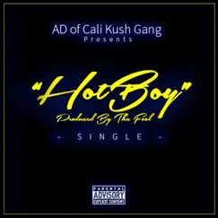 Hot Boy - Single by AD album reviews, ratings, credits
