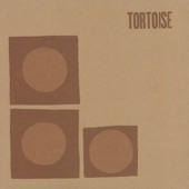 Tortoise - Night air