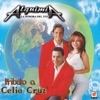 Tributo a Celia Cruz, 2003