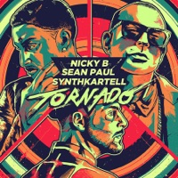 SYNTHKARTELL, Sean Paul & Nicky B - Tornado