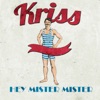 Hey Mister Mister - Single