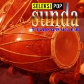 Seleksi Pop Sunda Terpopuler artwork