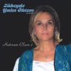 Ayşen Birgör - Biraz Geç Kaldın