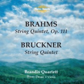 String Quintet in G Major, Op. 111: IV. Vivace ma non troppo presto artwork