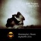 Love Illusions (Daniel Camarillo Remix) - G&M Project lyrics