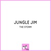 The Storm - Single