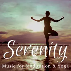 Serenity: Music for Meditation & Yoga by Ieuan Rees & Cameron McBride album reviews, ratings, credits