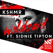 Wildcard (feat. Sidnie Tipton) artwork