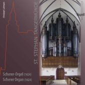 Die Scherer-Orgel in St. Stephan Tangermünde artwork