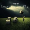 Learning to Fly - Single artwork