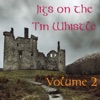 Jigs on the Tin Whistle: Volume 2